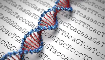 ¿Qué son los retrotransposones?