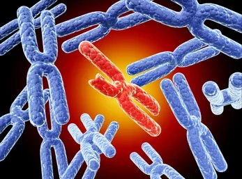 Deleciones y duplicaciones cromosómicas