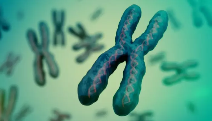 ¿Qué es el mosaicismo?