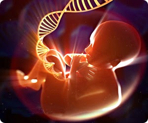 ¿Para que sirve la secuenciación del ADN fetal libre?