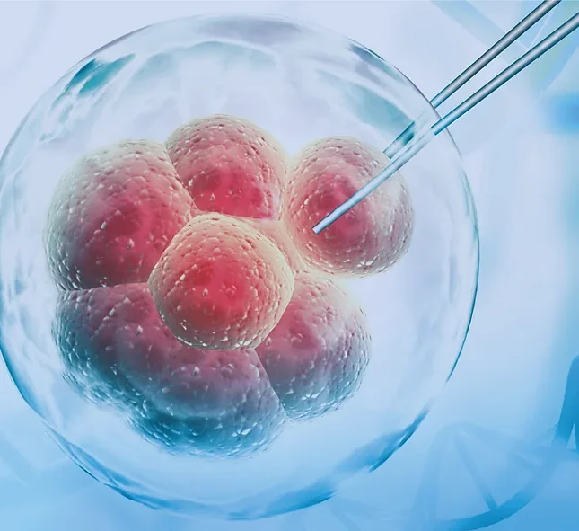 Administración de médula ósea y células madre