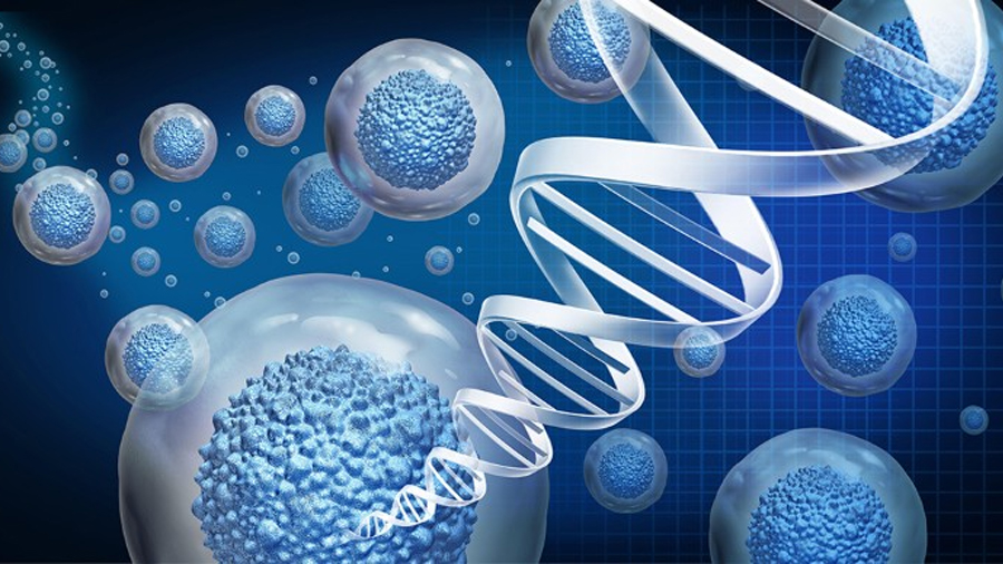 Reprogramación celular directa