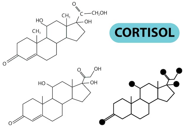 Mecanismos del cortisol en la inflamación