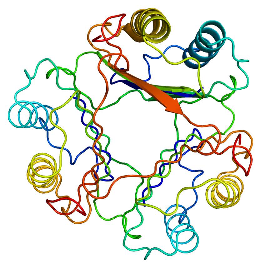 Factor inhibidor de los macrófagos en la inflamación