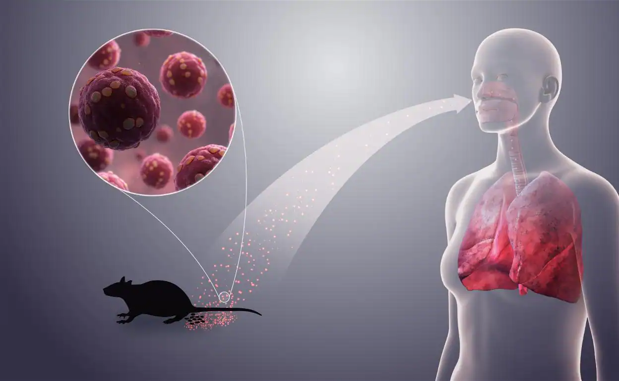 ¿Cuáles son los hospedadores naturales de los hantavirus?