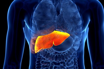 ¿Cuáles son las causas de hepatitis crónica?