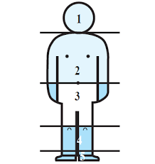 Escala de Kramer para evaluar ictericia