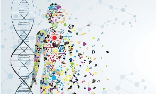 Las enfermedades son resultado de alteraciones en 3 niveles