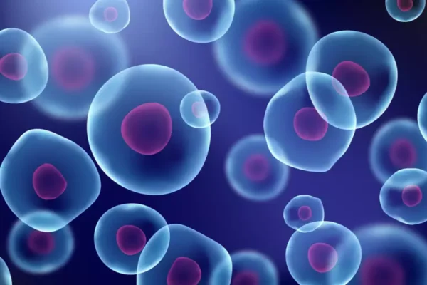 Las células están expuestas cambios constantes.