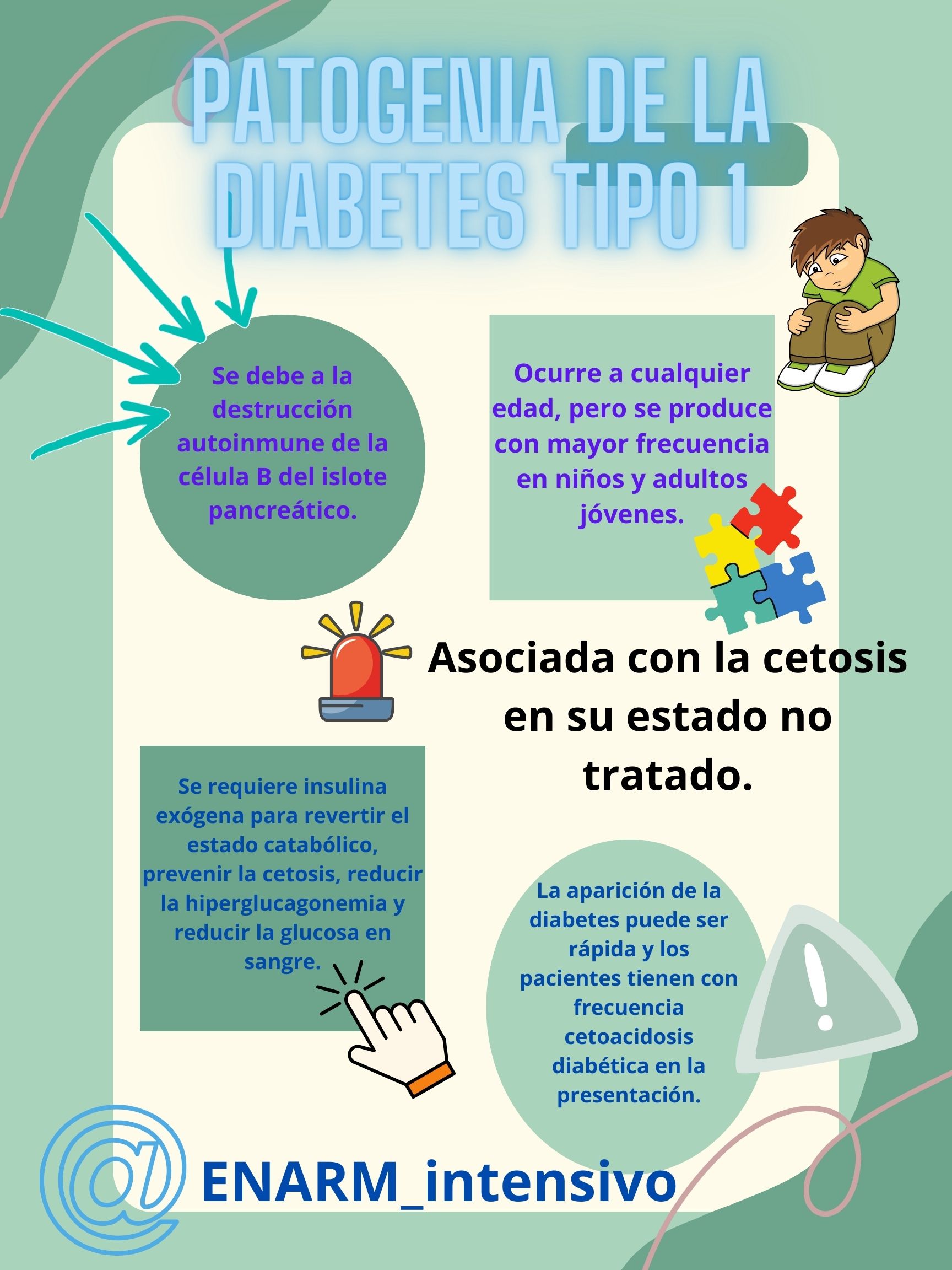 Patogenia de la diabetes mellitus tipo 1