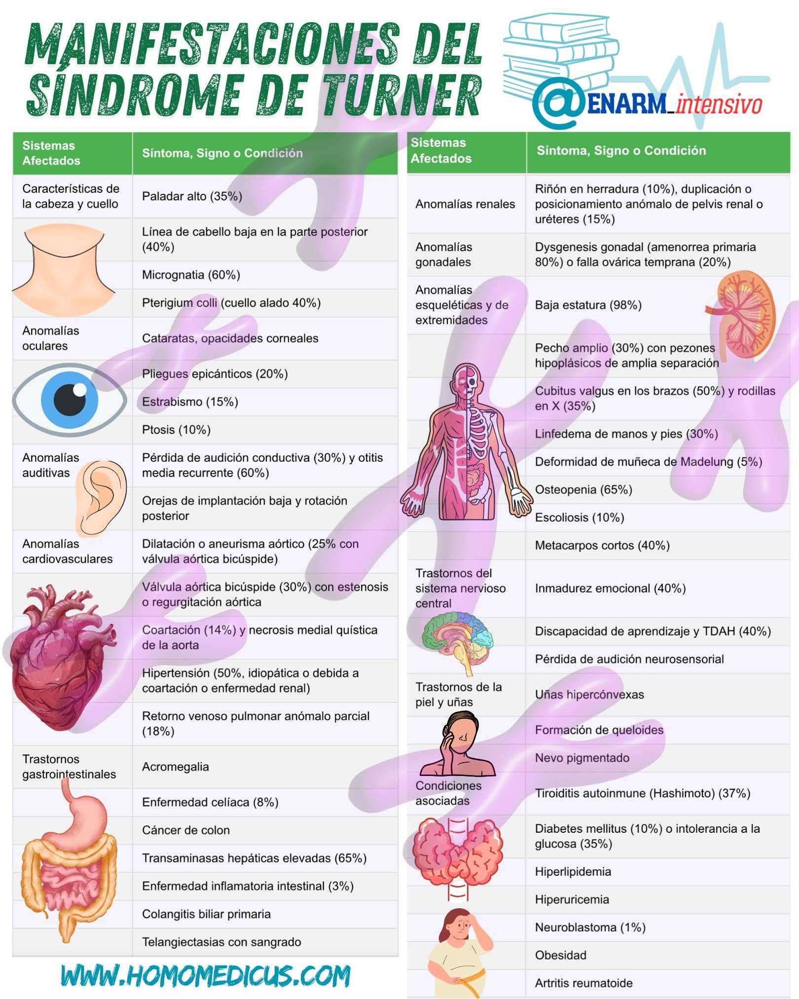 🎴Tarjeta de repaso: Manifestaciones del Síndrome de Turner