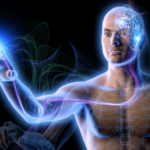 ¿Cuales son los sentidos que posee el humano?