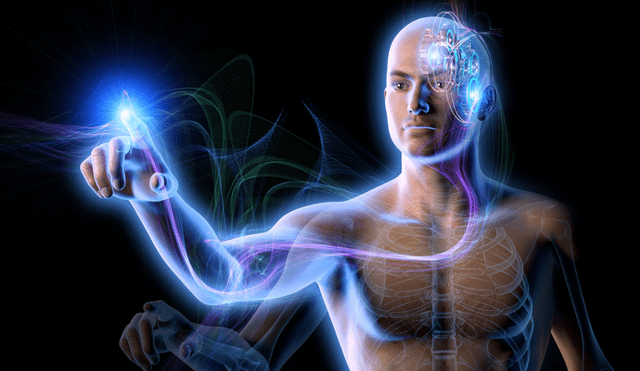 ¿Cuales son los sentidos que posee el humano?