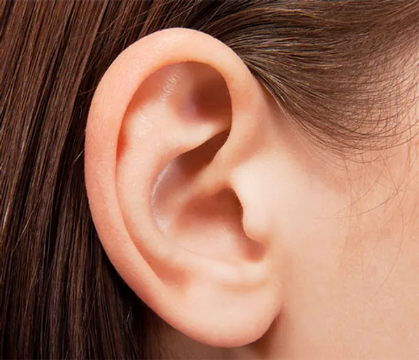 Enfermedades de la aurícula