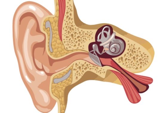 Disfunción de la trompa de Eustaquio