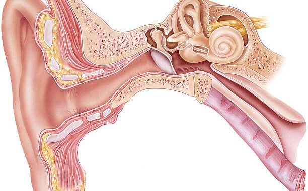 Enfermedades de los sistemas auditivos y vestibulares