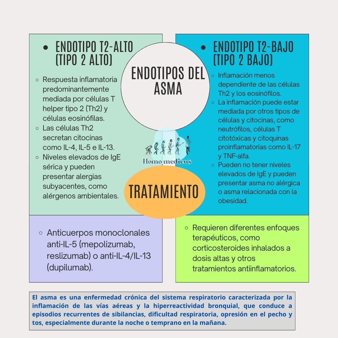 Endotipos del asma