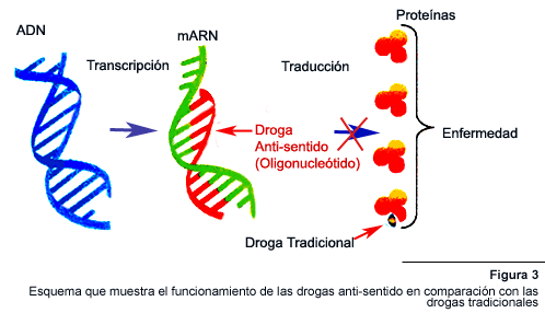¿Qué son los antibióticos antisentido?