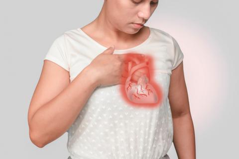 Percepción consciente del latido cardiaco