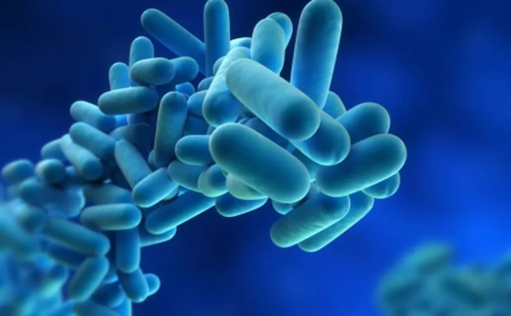 Enfermedad por Legionella