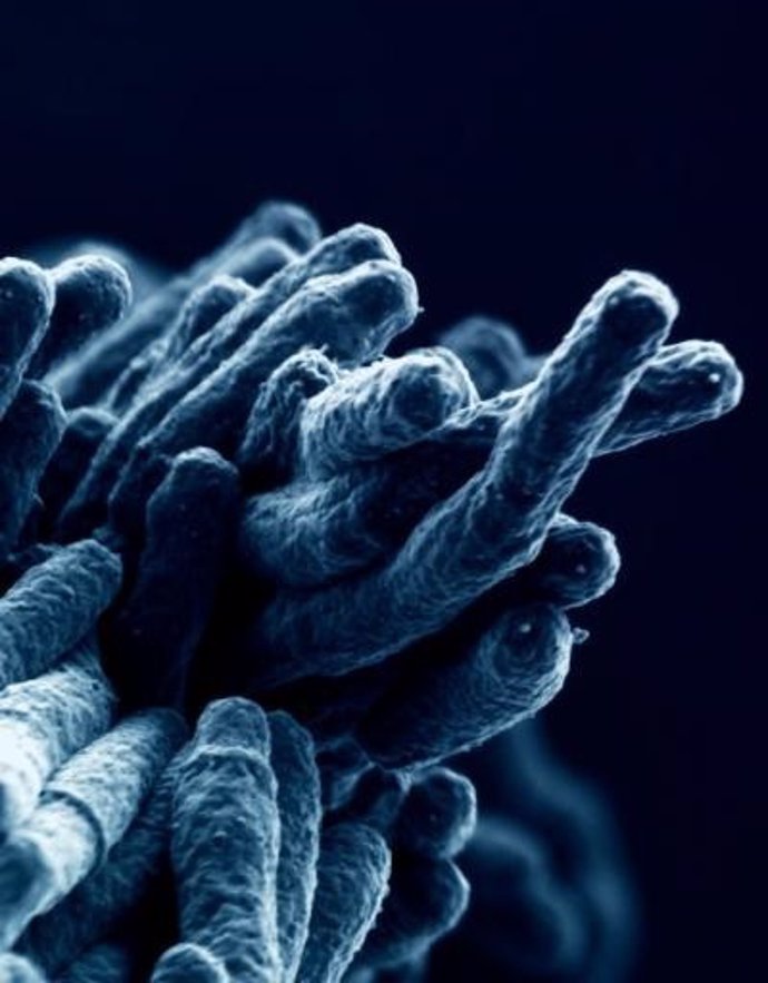 Tratamiento de la tuberculosis extrapulmonar