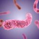 Enfermedad pulmonar causada por micobacterias no tuberculosas