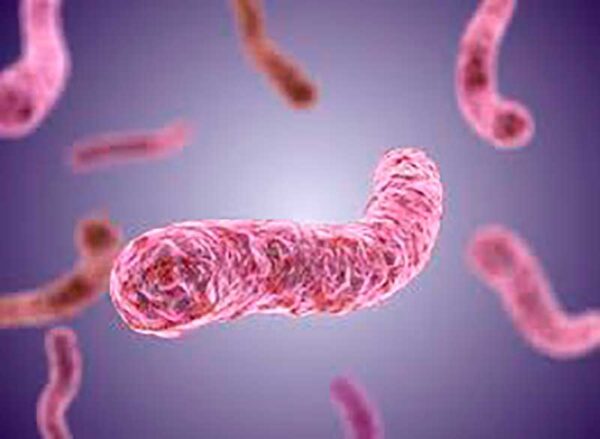 Enfermedad pulmonar causada por micobacterias no tuberculosas