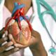 Aumento de las enfermedades cardiovasculares