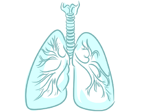 TRASTORNOS DEL CONTROL DE LA VENTILACIÓN