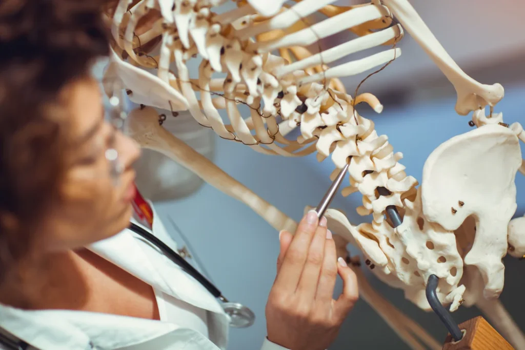 Enfoques metodológicos para entender la anatomía