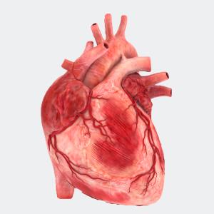 Tumores cardiacos primarios