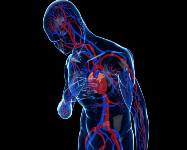 Causas de Insuficiencia Cardiaca