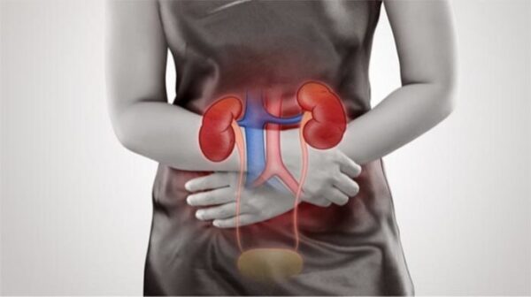 INFECCIONES DEL TRACTO GENITOURINARIO