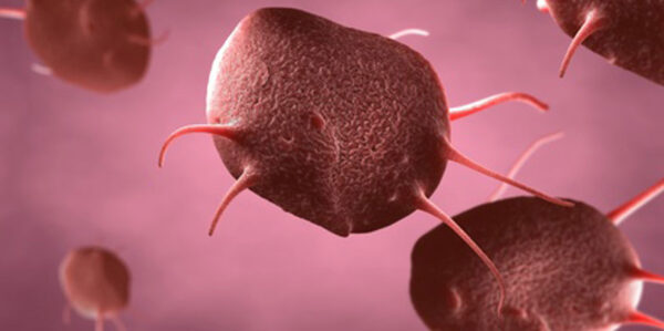 Trastornos congénitos de la función plaquetaria