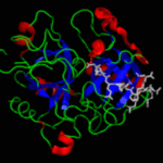 Trastornos hereditarios menos comunes de la coagulación