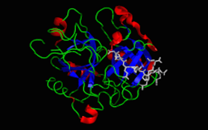 Trastornos hereditarios menos comunes de la coagulación