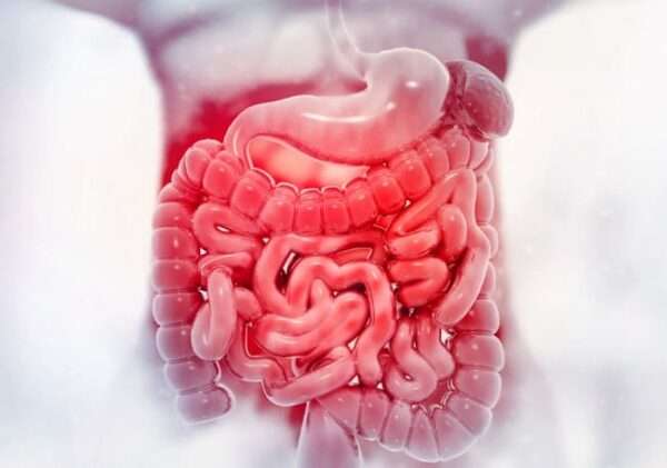 ¿Que hacer ante la sospecha de sangrado del intestino delgado?