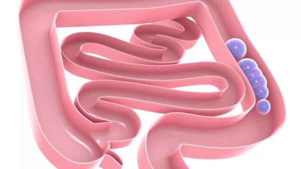 Gas gastrointestinal