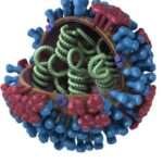 Virus de la influenza
