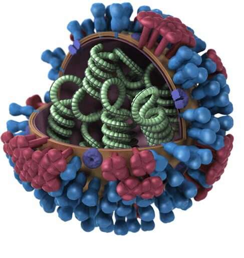 Virus de la influenza