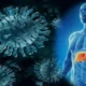 Hepatitis C crónica