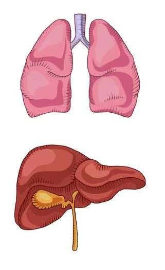 Síndrome hepatopulmonar e hipertensión portopulmonar 