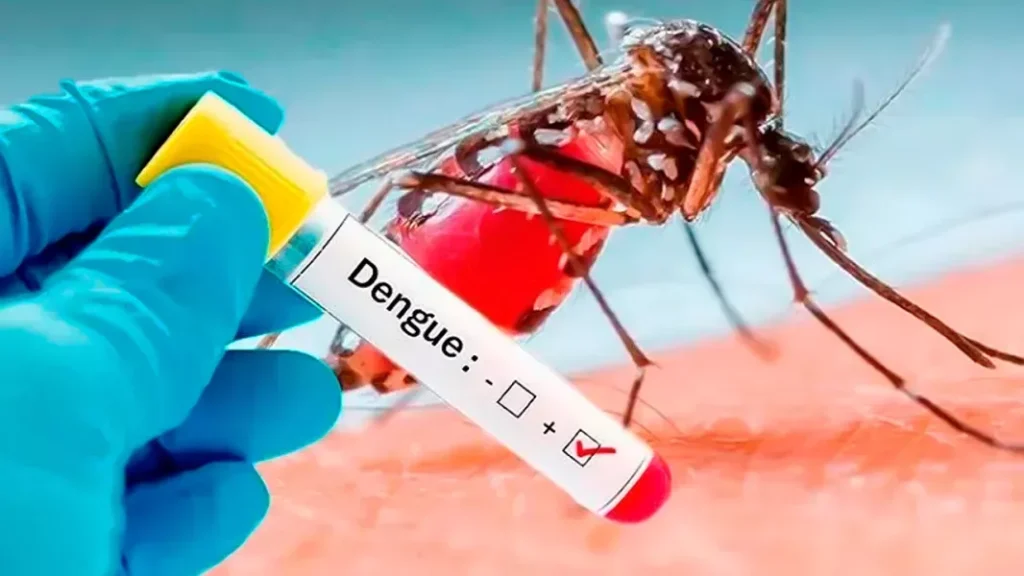 DENGUE