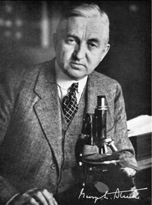 ¿Qué son las etapas de Streeter?