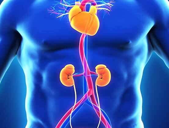 ¿Qué es el síndrome cardiorrenal?