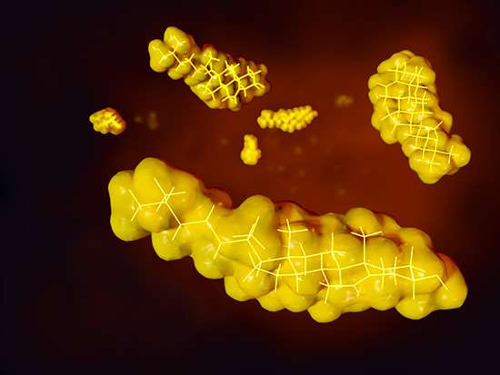Las fracciones lipídicas y su relación con el riesgo de enfermedad coronaria son un tema clave en la investigación cardiovascular