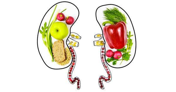 Dietas que restringen nutrientes