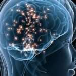 Enfermedades por priones