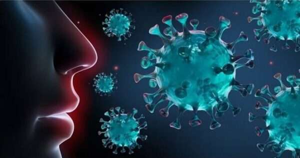 Virus Respiratorio Sincitial y otros paramixovirus