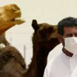 Coronavirus del Síndrome Respiratorio de Oriente Medio (MERS-CoV)